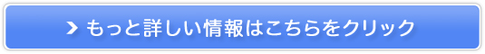 N[y甒z̔TCg